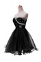 Robe douce seize bref a-ligne textile en tulle de bustier col en forme de cœur