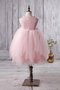 Robe cortège fille plissé textile en tulle manche nulle au niveau de cou ceinture