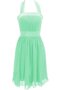 Robe demoiselle d'honneur naturel plissage de dos nu en chiffon manche nulle