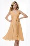 Robe demoiselle d'honneur plissage naturel fermeutre eclair avec fronce manche nulle