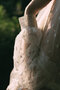 Robe de mariée col ras du cou bucolique mignonne formelle longue