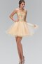 Robe de graduation plissé de lotus manche nulle textile en tulle ligne a